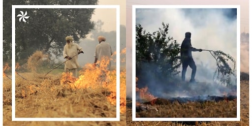 Crop burning effect on Air Quality